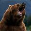 One Angry Bear