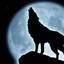 Howling Wolf