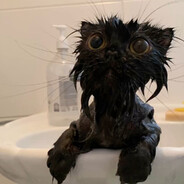 ДАНИЛ КОЛБАСЕНКО