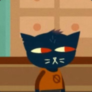 sarcastic cat