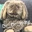 Dr_Hase