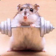 HamsterInYouFace