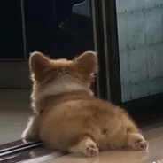 七枪六马三排倒俩