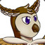 Noctua Noctis