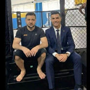 тотальное тулево zxc