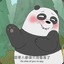 天际哥哥