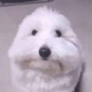 Klocuch016 skins.army