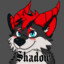 Shadow BlackPaw