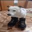 Perro Fachero