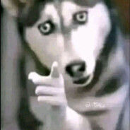 aaaaaaaaaa
