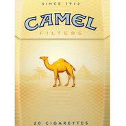 乡Camel Steam avatar