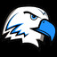 BluEagle