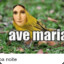 aacaralhoo