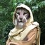 M&#039;aiq the Liar