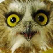 󠀡󠀡󠀡󠀡󠀡󠀡󠀡󠀡