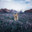 R0pi