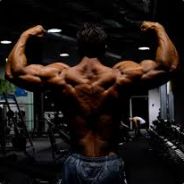 Brutalac ❶❸❸❼