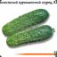 Cucumber [rus]