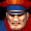 M. Bison Gaming