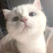 橙子酱甜甜蜜蜜