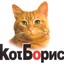 KoT_БоPuS