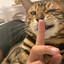 007