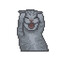 Let&#039;s chat with meow