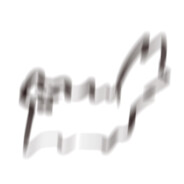 一般路过猫猫头