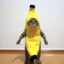 Banan Cat