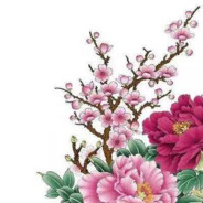 花开富贵（状态不好）