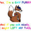 IMNOTGAYFURRY