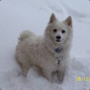 kim jing jing - steam id 76561197971076700