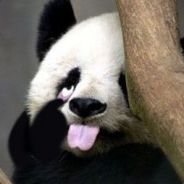 远古肉山罗玉凤