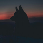 salman- - steam id 76561198072264360