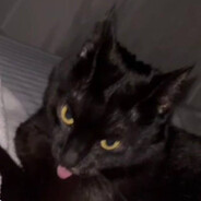 MEL