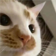 传说有个魔仙堡