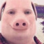 John Pork