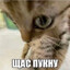 Дима BELAZ