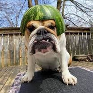 Watermeloooonnn ZUSIKQQ