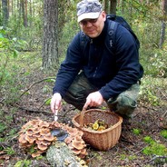 Grzybiarzpiotr