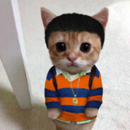 谭谈交通谭警官