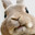 NotRabbit