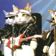 YOTO饿了会自己捡凤凰吃