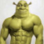 Shredded Shrek