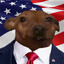 A Fellow American