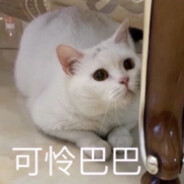 荔枝小猪