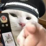 扫黑除恶龙破天