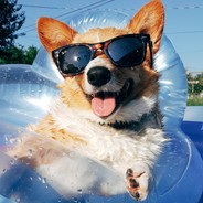 Jared Honey's Avatar