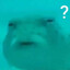 ?