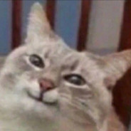 搞个蛋糕吃吃吧